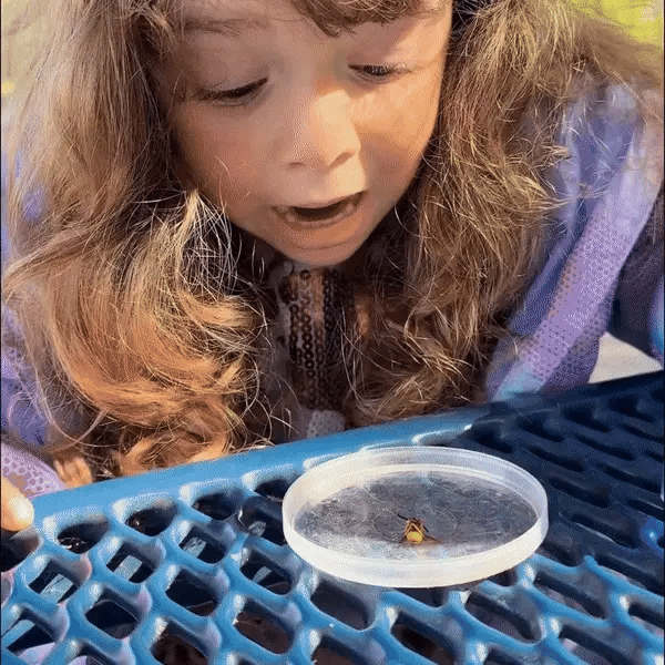 El juguete perfecto que mantiene a tus hijos